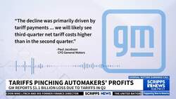 Tariffs are pinching automakers' profits News Clip