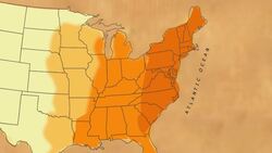 Industrialization Instructional Video