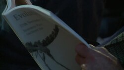 CLEAN : Misty the dinosaur skeleton sells for News Clip