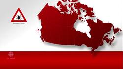 The summer of tick-mageddon News Clip