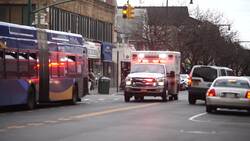 Birdsong, blaring sirens: A pandemic in sound Instructional Video