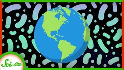 Why Bacteria Don't Outweigh the Earth Instructional Video