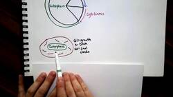 The Cell Cycle Instructional Video