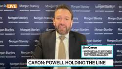 Yields Can Settle Down After Painful Period: Morgan Stanley News Clip