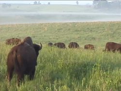 Weathering and Soils: Soil Types Instructional Video