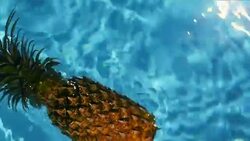 Pineapple Floating In blue Water In Swimming Pool. Healthy Raw Organic Food. Juicy Fruit. Vegetarian, Vegan Nutrition, Vitamins, Diet, summer holidays, vacation concepts. Exotic tropical background Stock Footage