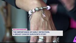 Breast cancer survivor says early detection is key Instructional Video