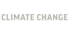 Bye bye bugs? Scientists fear non-pest insects are declining News Clip