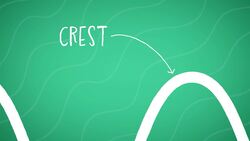 I WONDER - What Is The Crest Of A Wave? Instructional Video