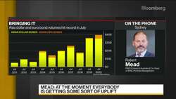 Pimco's Mead Expects More Corporate Defaults News Clip