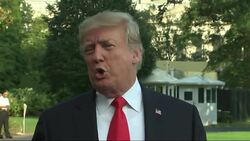 Trump says Democrats colluded with Russia Instructional Video