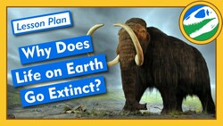 Why Does Life on Earth Go Extinct? - Lesson Plan Instructional Video