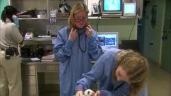 The Newborn Panda Cub Checklist Is Very Important for Animal Care Specialists Instructional Video