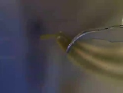 Discovery with the ALMA Telescope: The front end and back end of the ALMA telescope Instructional Video