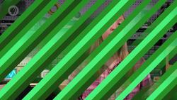 Psychology of Computing: Crash Course Computer Science Instructional Video