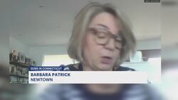 Gun owners, gun control groups clash in Hartford over bill making it easier to sue gun makers & sellers News Clip