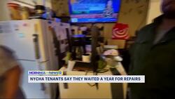 Senior couple waits a year for kitchen repairs in NYCHA apartment News Clip