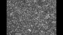 Sport events attract record number of crowds in 1947 as Jet Pilot wins the Kentucky Derby and Faultless wins the Preakness Stakes News Clip