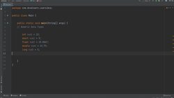 Fundamentals Of Object-Oriented Programming: Java and IntelliJ - Variables & Data Types Instructional Video