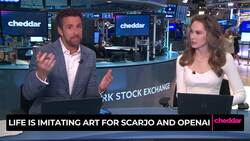 Life Imitating Art for Scarlett Johansson & OpenAI News Clip