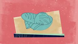 Women in the Civil War Instructional Video