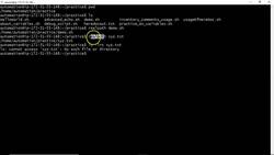 Bash Shell Scripting- String Operations on Paths | Useful for Real-time Instructional Video