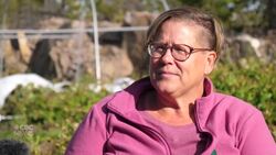 N.W.T. urban garden built in former parking lot News Clip