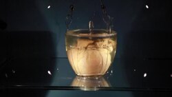 CLEAN : Embalmed heart of Emperor Pedro I exhibited in Brasilia News Clip