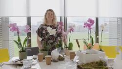 Portrait confident female instructor with orchids in flower arranging class Stock Footage