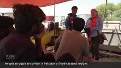 Pakistanis struggle to survive with no flood relief in sight News Clip