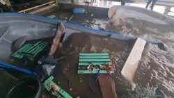 CLEAN : Intense winds and rain as hurricane Julia slams Nicaragua News Clip