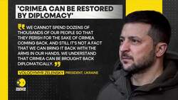 Russia-Ukraine War: Ukrainian President Says, 'We Can't Lose Lives To Retake Crimea' News Clip