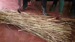 Sedge grass straws make comeback in Uganda Instructional Video