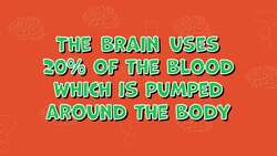 I WONDER - How Many Blood Vessels Are In Brain? Instructional Video