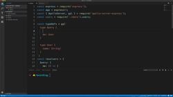 Practical GraphQL - Become a GraphQL Ninja - Additional basic GraphQL Queries Instructional Video