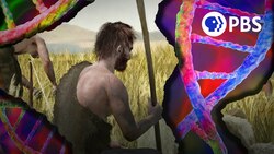 When Ancient People Changed Their Own DNA Instructional Video