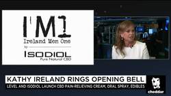 Kathy Ireland Talks Her Brand's Step Into CBD News Clip