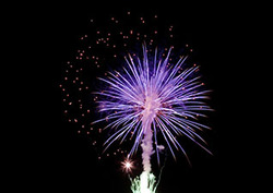 Nitrates: Food Preservatives Instructional Video