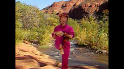 STICK ’EM UP! Instructional Video