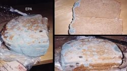 Biological Clocks - Science Nation Instructional Video