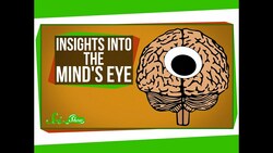 New Insights Into 'The Mind's Eye' Instructional Video