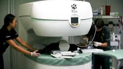 VOICED : Animales silvestres como mascotas amenaza para la fauna en Colombia News Clip