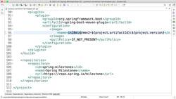 Master Microservices with Spring Boot and Spring Cloud - Step 15 – Container Images for Exchange and Currency Conversion Microservices Instructional Video