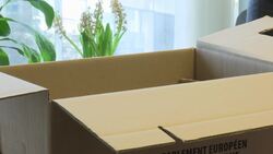 British MEP packs office ahead of Brexit Instructional Video