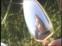 Using Light: Convex Mirrors Instructional Video