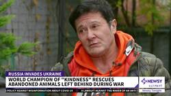 Ukrainian Powerlifter Champions Survival Of Mykolaiv's Abandoned Pets News Clip