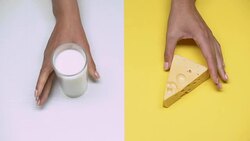 Glass of milk and cheese, dairy products rich in calcium, lactose intolerance Stock Footage