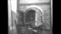 Voices of the Victims, Ruth Becker: Liberating the camps Instructional Video