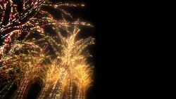 Neon Tree illumination Stock Footage