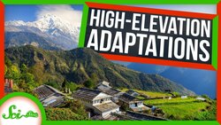 How People Have Evolved to Live in the Clouds Instructional Video